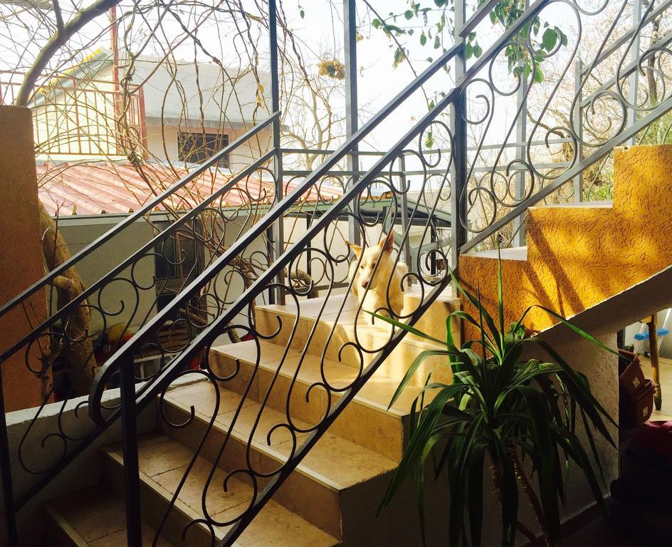 Apartmani Peric Bar Exterior photo